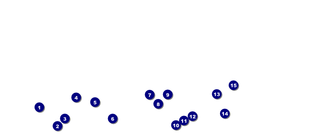 Utah VIP Pass Front Field Markers