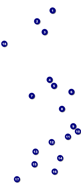 Homeless & Hungry VIP Pass Front Field Markers