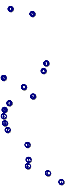 Peace Dove VIP Pass Front Field Markers