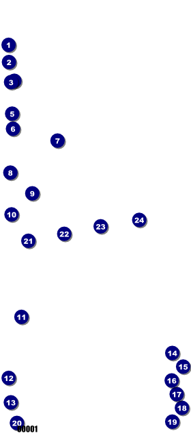 Roller Derby Passing Star VIP Pass Front Field Markers