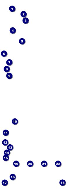 Holiday Gift VIP Pass Front Field Markers