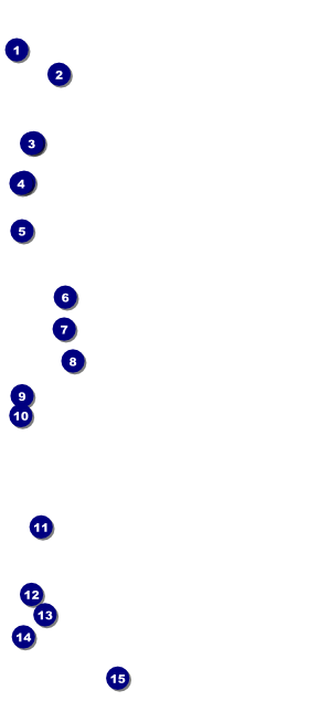 Basketball Court VIP Pass Front Field Markers