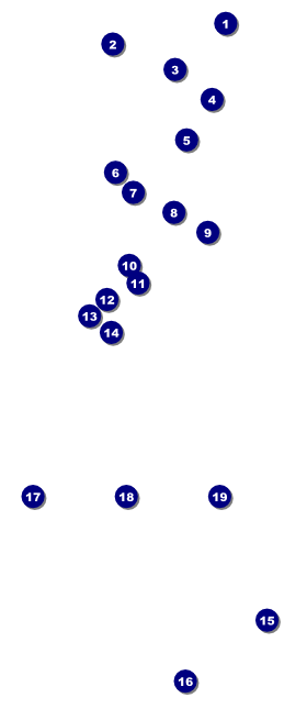 Casino Dealer VIP Pass Front Field Markers
