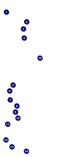 Fourth of July Freedom VIP Pass Front Field Markers