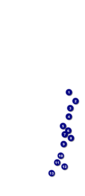 Breast Cancer Ribbon Sparkle VIP Pass Front Field Markers