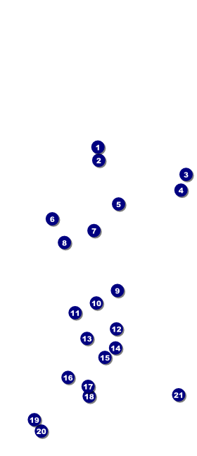Cancun VIP Pass Front Field Markers