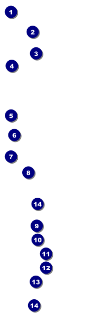 Picnic 2 Raffle Ticket Front Field Markers