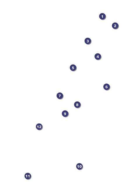 Nightclub Blue Drink Ticket Front Field Markers