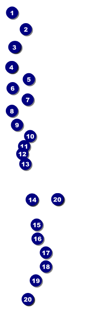 Cricket 2 Raffle Ticket Front Field Markers