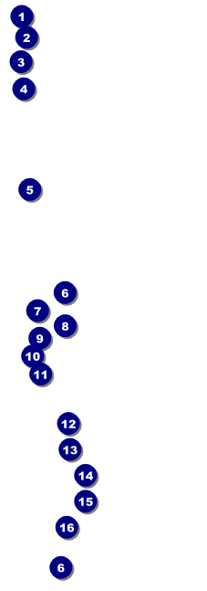Carnival Monkey Raffle Ticket Front Field Markers