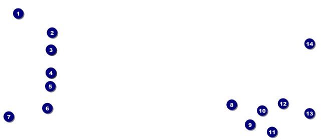 Auto Racing VIP Pass Front Field Markers