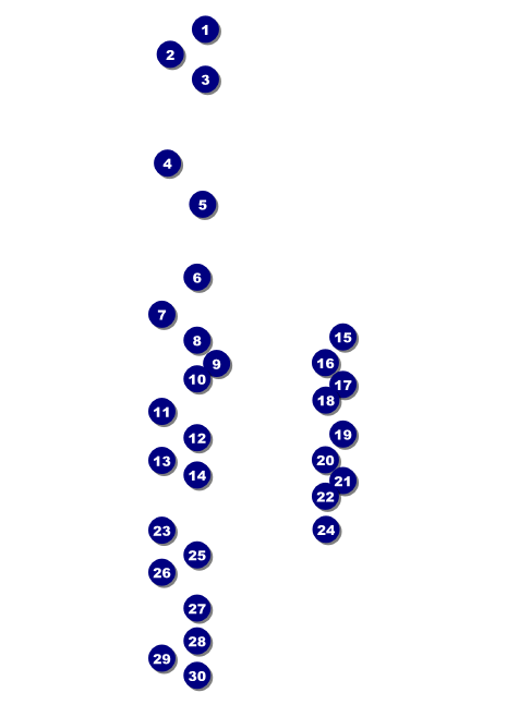 Black History Month Invitation Front Field Markers