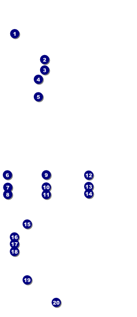 Hippie VIP Pass Front Field Markers