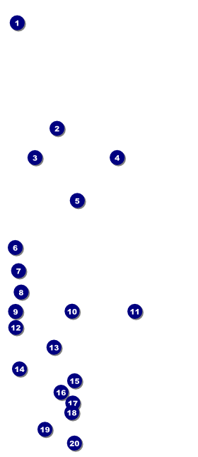 Fish Fry VIP Pass Front Field Markers