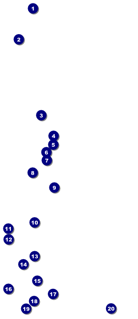 Indian Music VIP Pass Front Field Markers