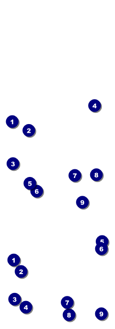 Dinosaur Event Ticket Front Field Markers