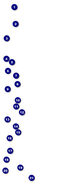 Fall VIP Pass Front Field Markers