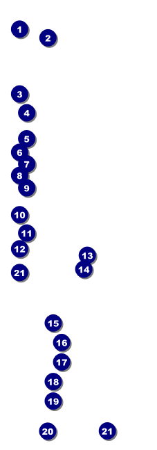 Movie Night Raffle Ticket Front Field Markers