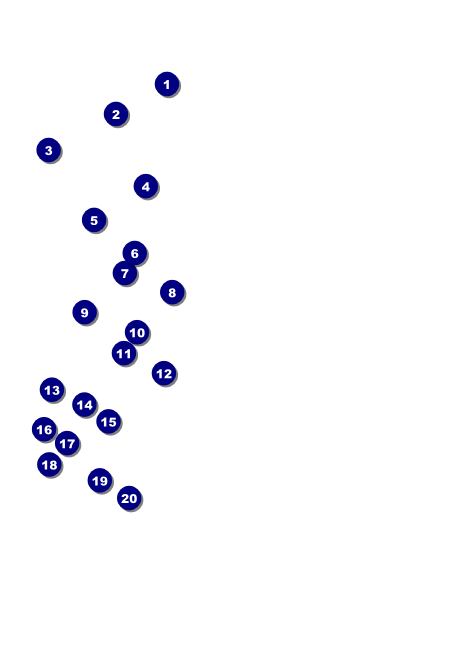 Dallas Club Flyer (Black and White) Front Field Markers
