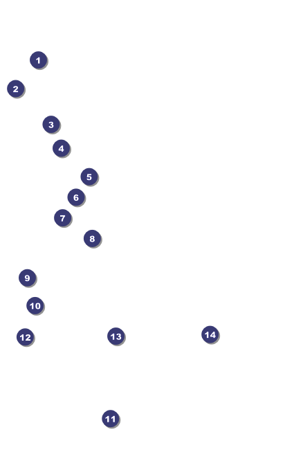 MMA Frontkick Drink Ticket Front Field Markers