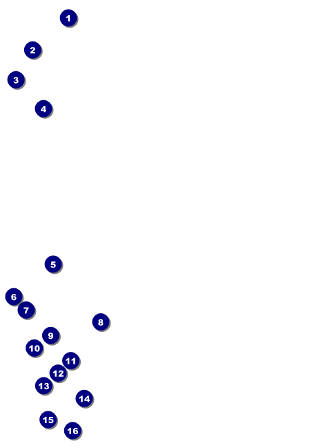 Volleyball Sun Rays Club Flyer Front Field Markers