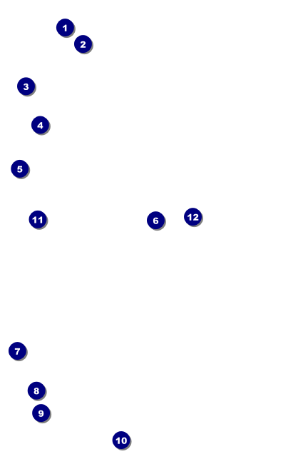 Roller Derby Pink Leopard Drink Ticket Front Field Markers