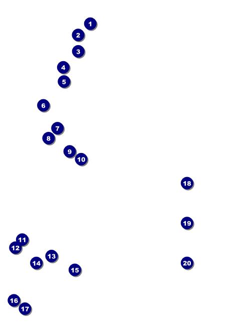 Tampa Bay Club Flyer Front Field Markers