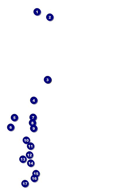 Lacrosse Club Flyer Front Field Markers